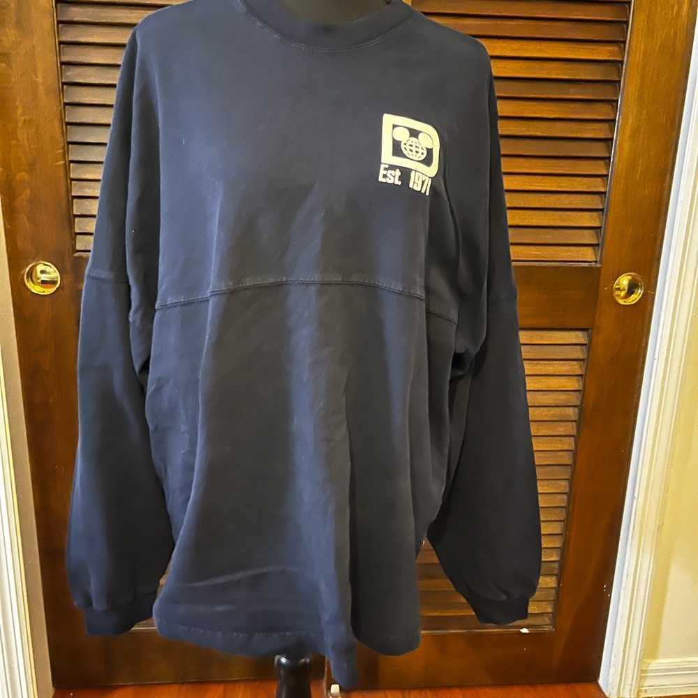 Walt Disney World Spirit Jersey
